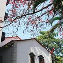 漳州旅游 缩略图 5
