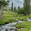 伊犁旅游 缩略图 7