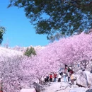 漳州旅游 缩略图 5