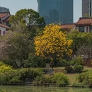 漳州旅游 缩略图 8
