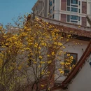 漳州旅游 缩略图 7