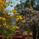 漳州旅游 缩略图 5