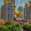 漳州旅游 缩略图 10