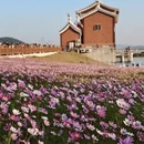 漳州旅游 缩略图 3