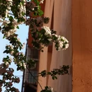 太原旅游 缩略图 7