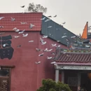 漳州旅游 缩略图 8