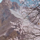 阿勒泰地区旅游 缩略图 4