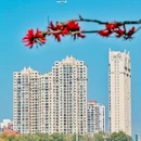 泉州旅游 缩略图 8