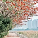 泉州旅游 缩略图 10
