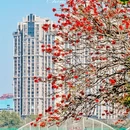 泉州旅游 缩略图 12