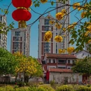 漳州旅游 缩略图 14