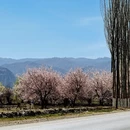 喀什地区旅游 缩略图 6