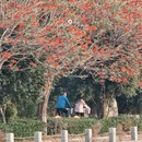 泉州旅游 缩略图 16
