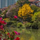 漳州旅游 缩略图 17