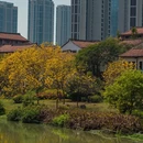 漳州旅游 缩略图 18