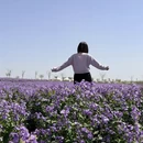 伊犁旅游 缩略图 1