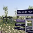 伊犁旅游 缩略图 5