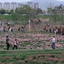 漳州旅游 缩略图 4