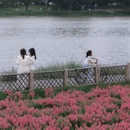 漳州旅游 缩略图 2