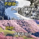 伊犁旅游 缩略图 1