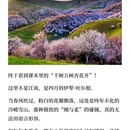 伊犁旅游 缩略图 2