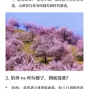 伊犁旅游 缩略图 4