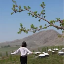 伊犁旅游 缩略图 12