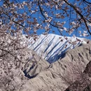 喀什地区旅游 缩略图 1