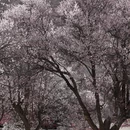 喀什地区旅游 缩略图 4