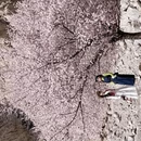 喀什地区旅游 缩略图 8
