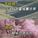 伊犁旅游 缩略图 4