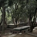 漳州旅游 缩略图 12
