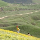 伊犁旅游 缩略图 4