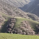 伊犁旅游 缩略图 1