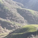 伊犁旅游 缩略图 4