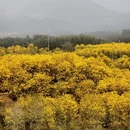 厦门旅游 缩略图 1
