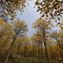 厦门旅游 缩略图 3