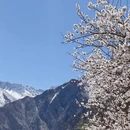 喀什地区旅游 缩略图 3