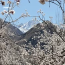 喀什地区旅游 缩略图 7