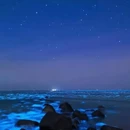 福州旅游 缩略图 8