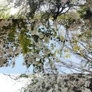 漳州旅游 缩略图 2