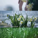 北京旅游 缩略图 11