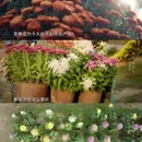 北京旅游 缩略图 16
