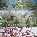 北京旅游 缩略图 17