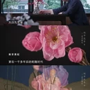 北京旅游 缩略图 18