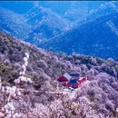 伊犁旅游 缩略图 15