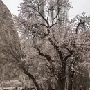 喀什地区旅游 缩略图 13