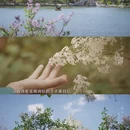 北京旅游 缩略图 2