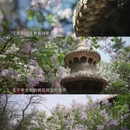 北京旅游 缩略图 3