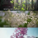 北京旅游 缩略图 4